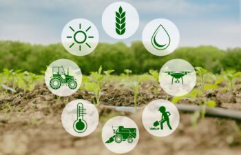 img-magazin-2019-smart-farming-teil-1-4-0web-1400