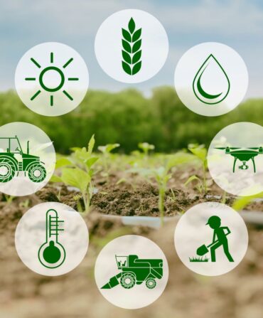 img-magazin-2019-smart-farming-teil-1-4-0web-1400