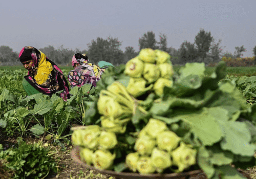 Community Development (1)