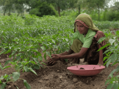 Sustainable Agriculture Sustainable Agriculture