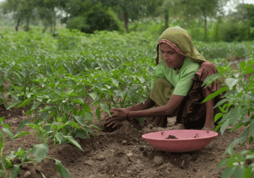 Sustainable Agriculture