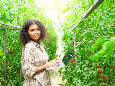 Sustainable Agriculture Initiatives Sustainable Agriculture Initiatives